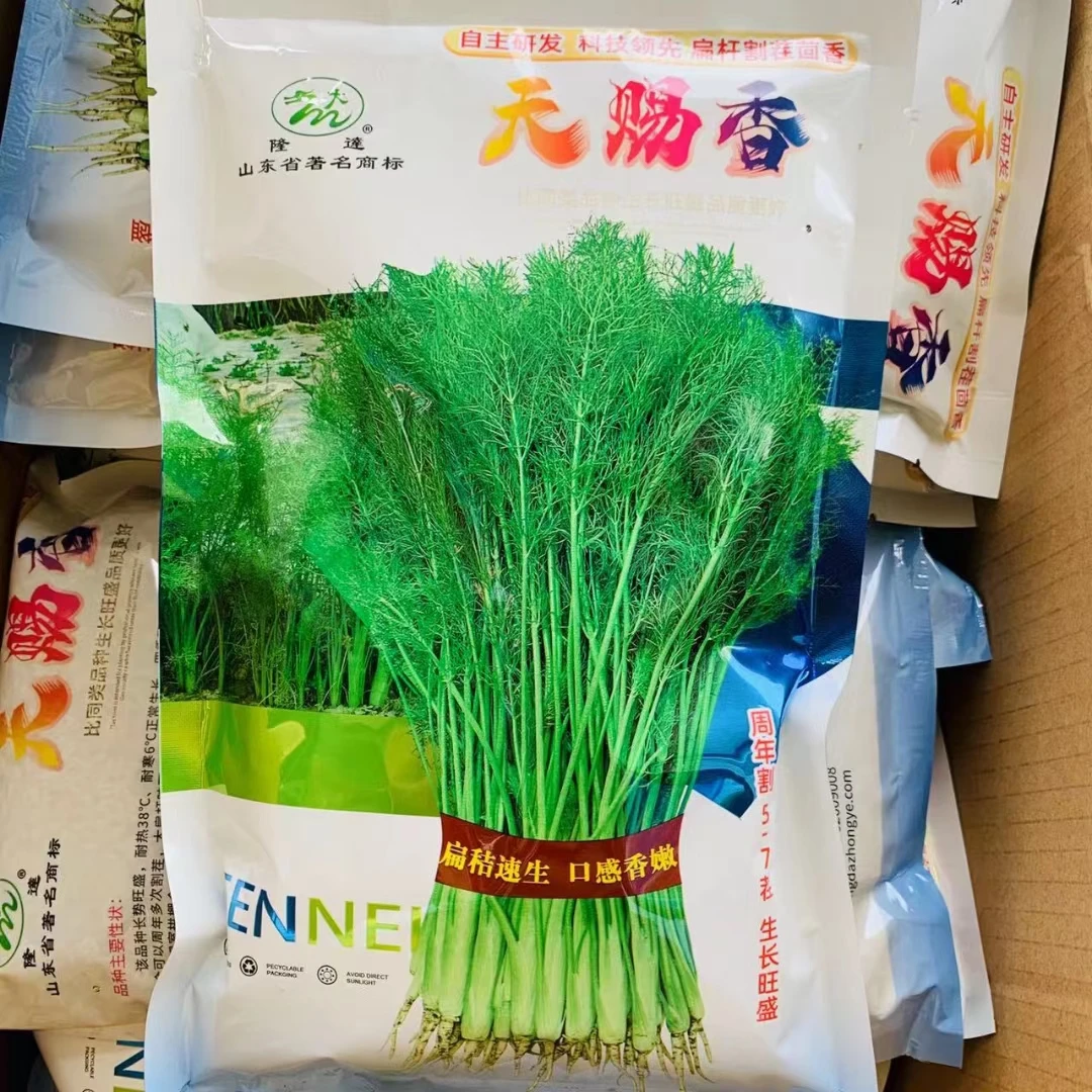 原装割茬茴香种子春秋季易种可多次采收蔬菜种子