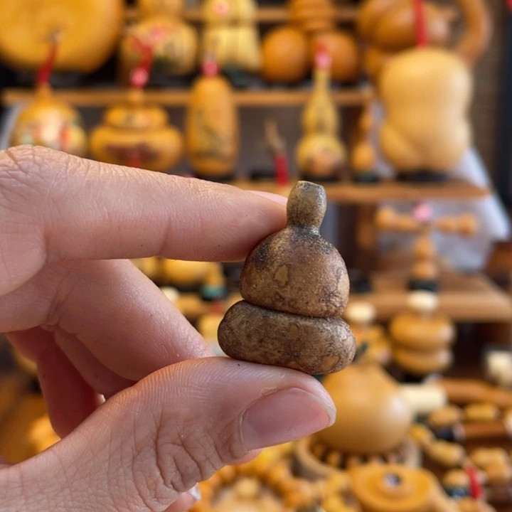 蛛*仔天然葫芦自然生长蛛蛛