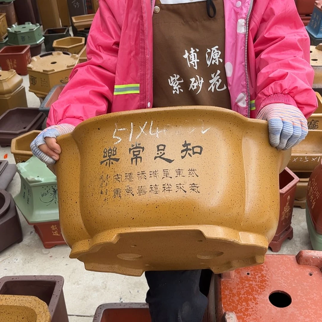 紫砂花盆盆景艺术