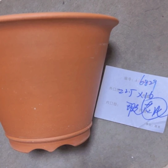 紫砂花盆花卉园艺