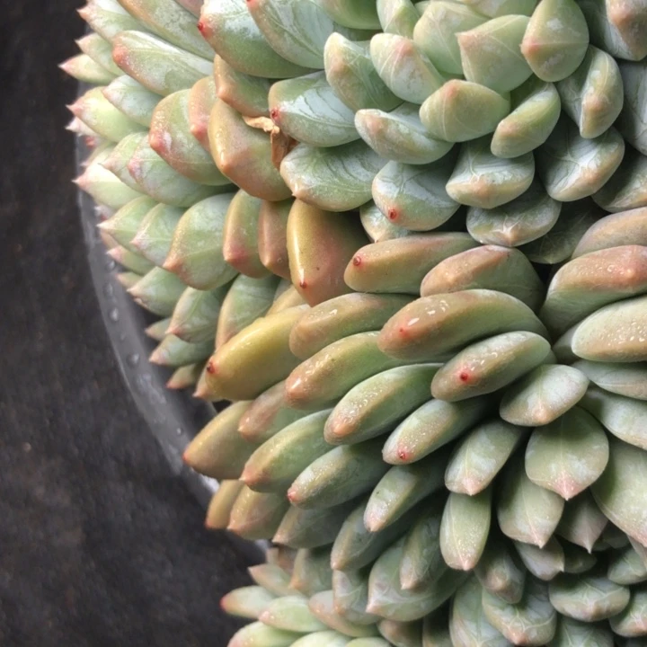 沐*57////////////////