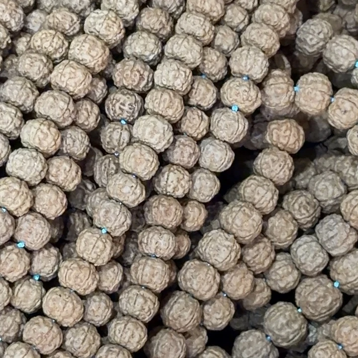 金刚菩提吊坠发财树梅花南瓜