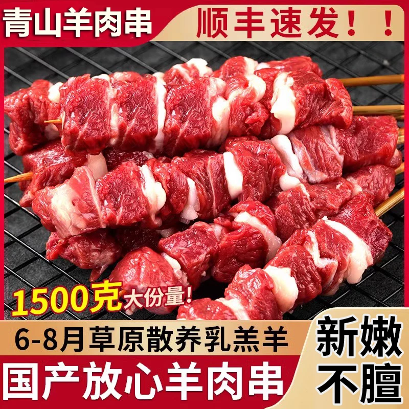 100串长签3斤大克重鲁西南青山羊肉串大串空气炸锅羊肉串烧烤食材