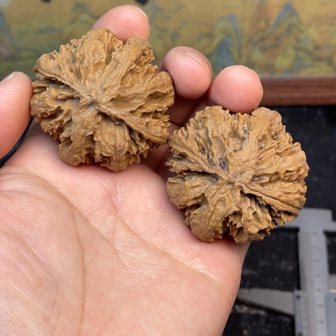 F***L核桃5号链接555555