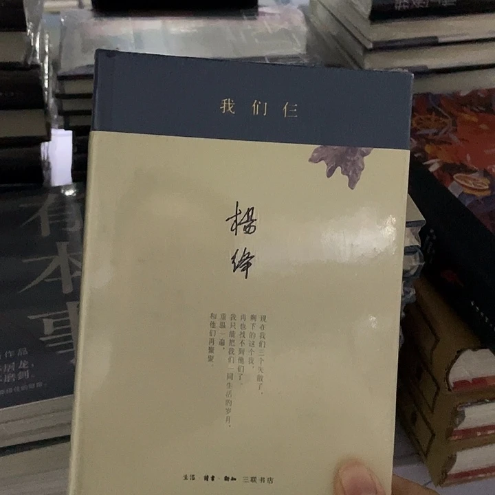 我们仨     精装带塑封