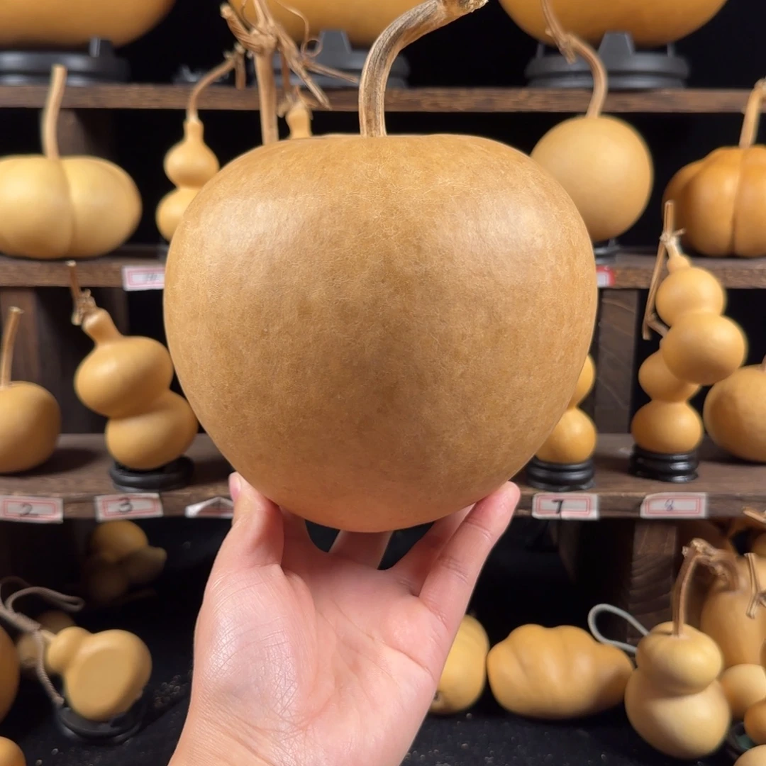 中****葫芦葫芦葫芦葫芦葫芦葫芦