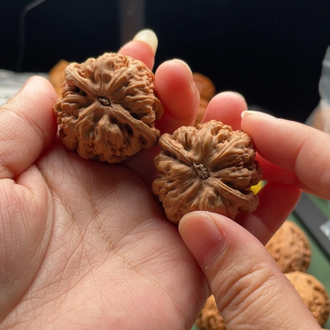 *****文玩核桃把件粗筋6070