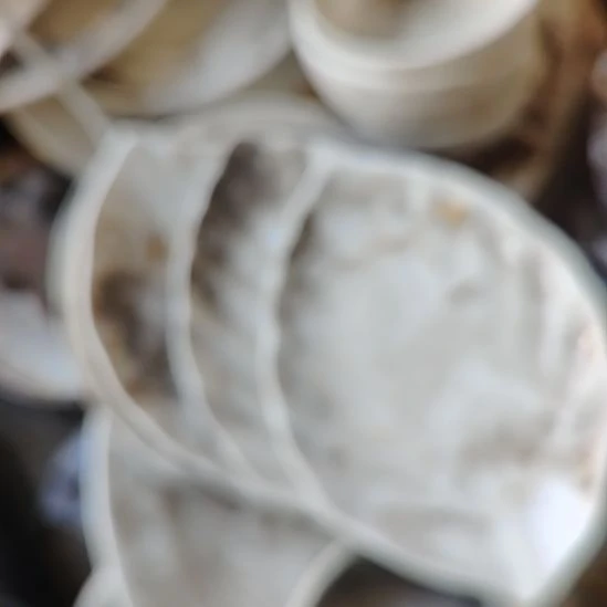 瓷发三个树叶盘子，国营四厂库存，