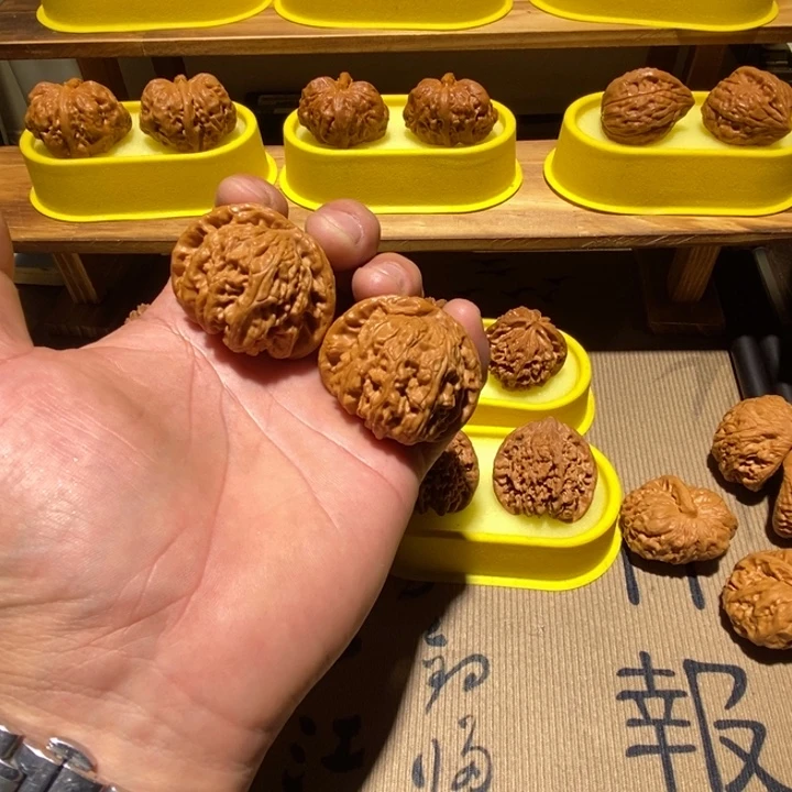 核桃46白狮子。。。。。