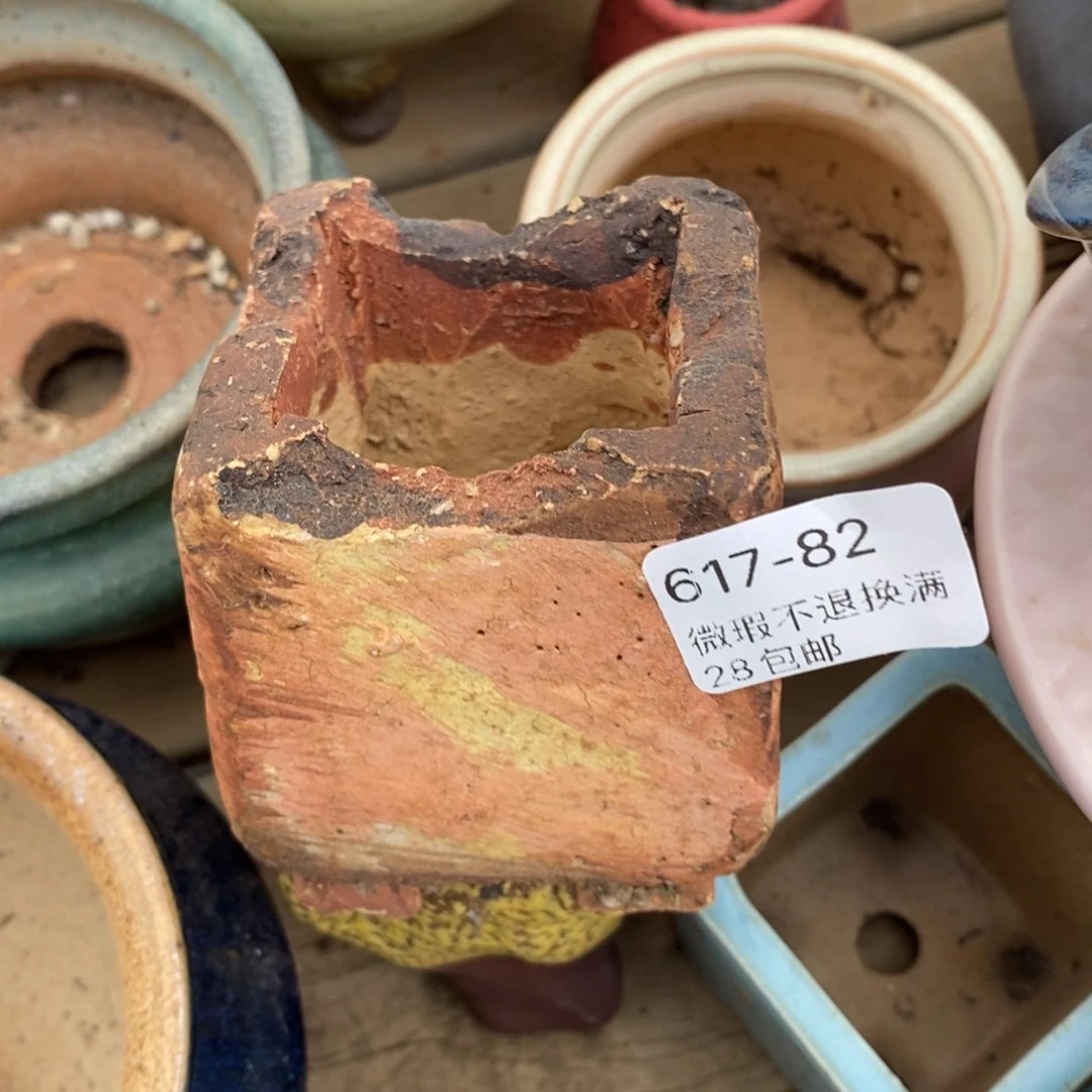 82号多肉盆口径4小可爱