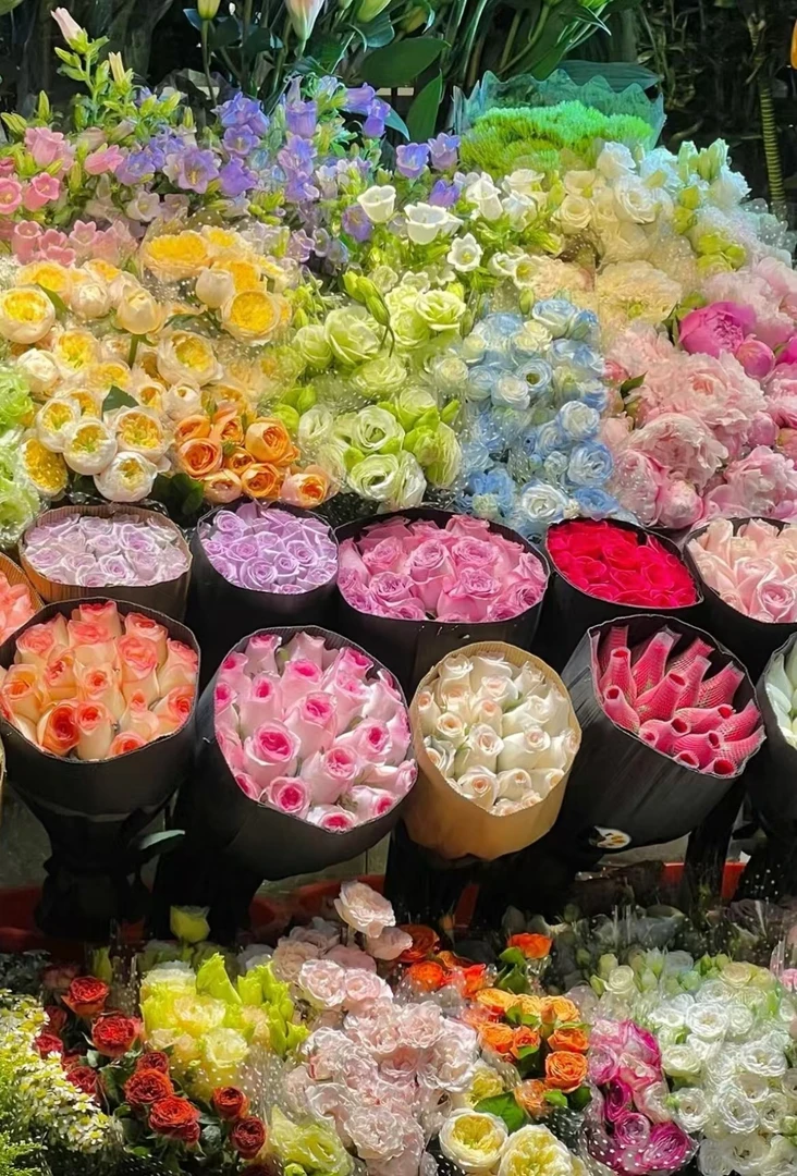 套餐A2【辉煌艾莎玫瑰】一单就发冷链送货上门