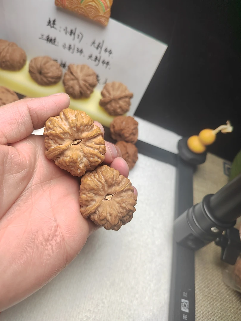 金蟾蛤蟆头文玩核桃
