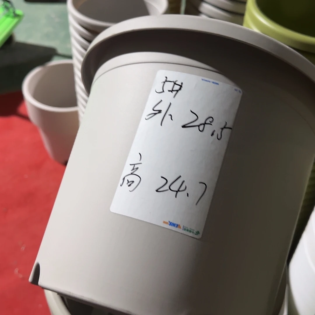树脂四季5号无托6个灰白微瑕