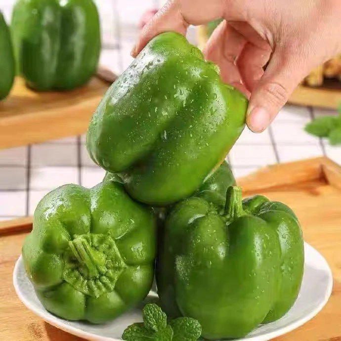 山东新鲜现摘精品不辣多汁青椒蔬菜脆口爽口园椒彩椒方椒