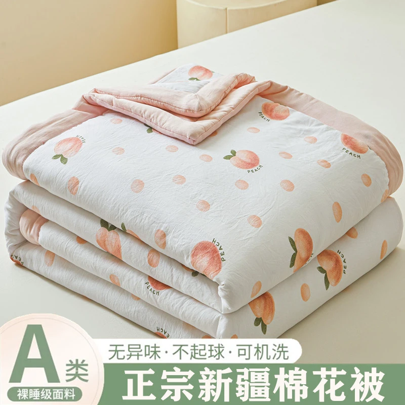 A类无印风棉花夏被夏凉被空调被薄被芯爆款薄被子春季双人家用被