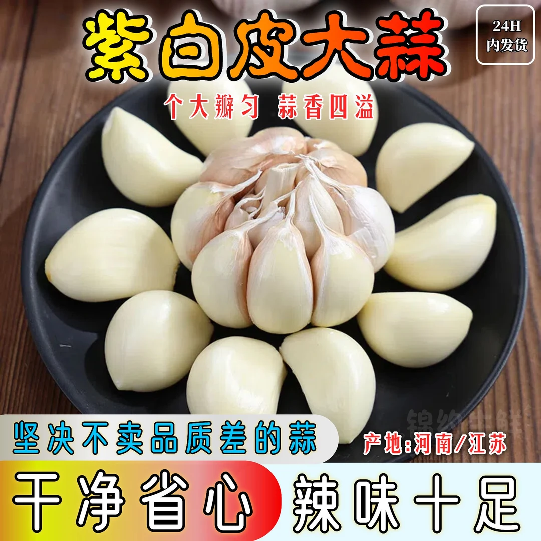 优质紫白皮【江苏大蒜】可吃可种当季新鲜晒干大蒜假一赔十