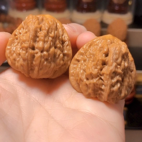 野生小众：精品魔蟾