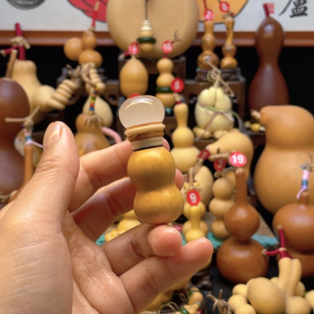 K*！大自然的秘密第十节第