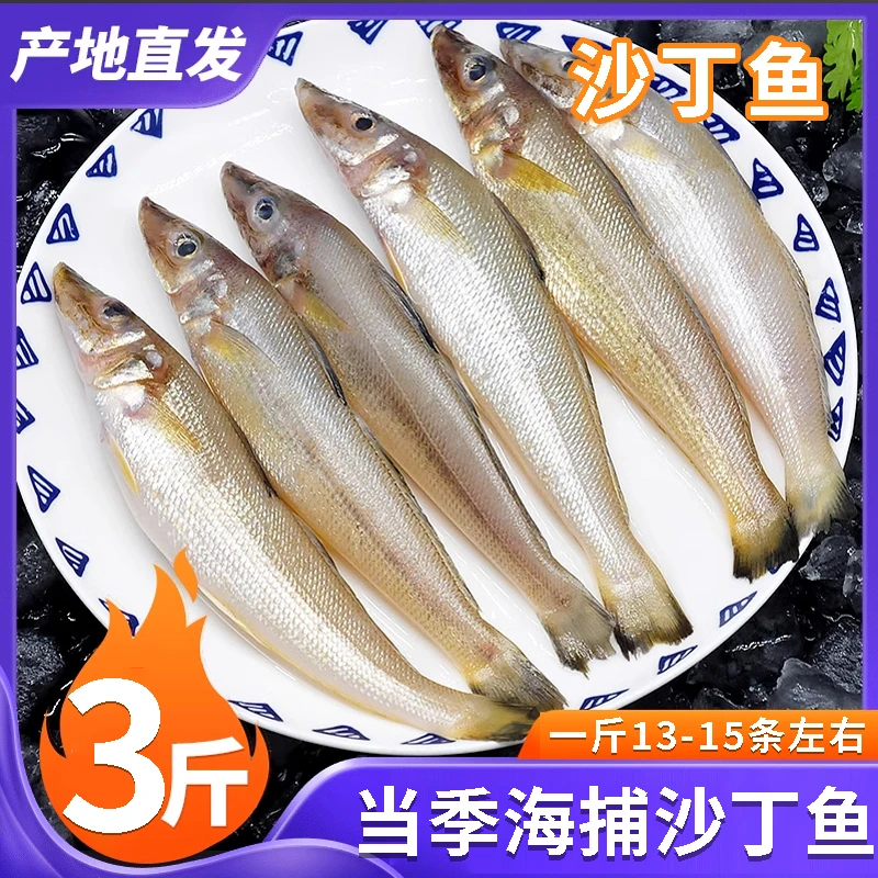 沙丁鱼新鲜当日海捕深海冰鲜海鱼鲜活冷冻速冻野生海鲜水产3斤