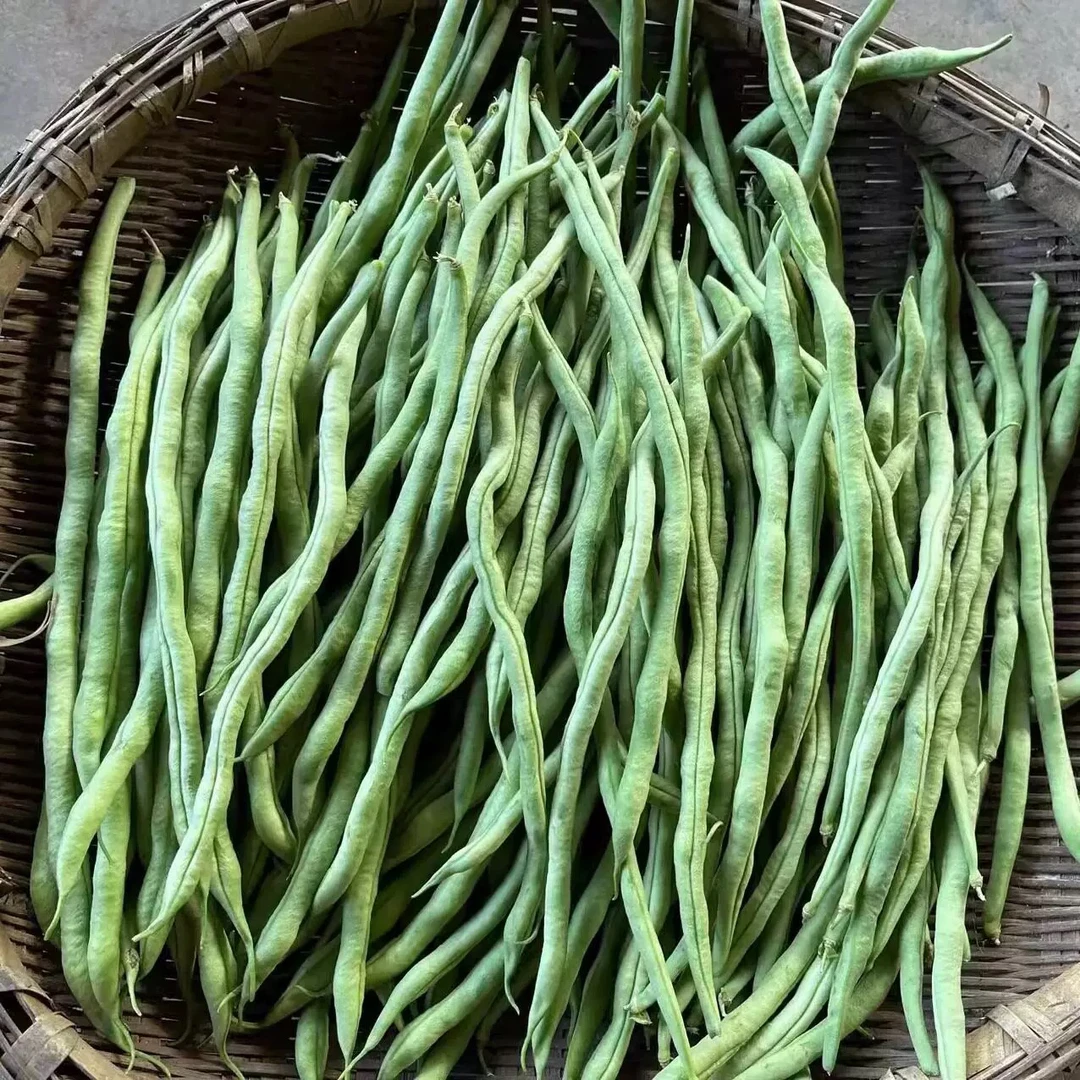 无筋豆王新鲜无筋豆新鲜新鲜蔬菜