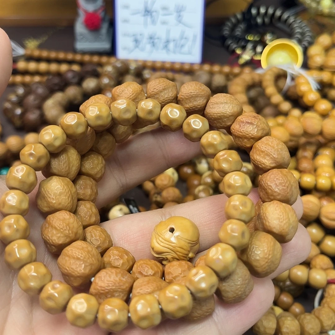 z***n蛟龙龙蛇奶酪猴头