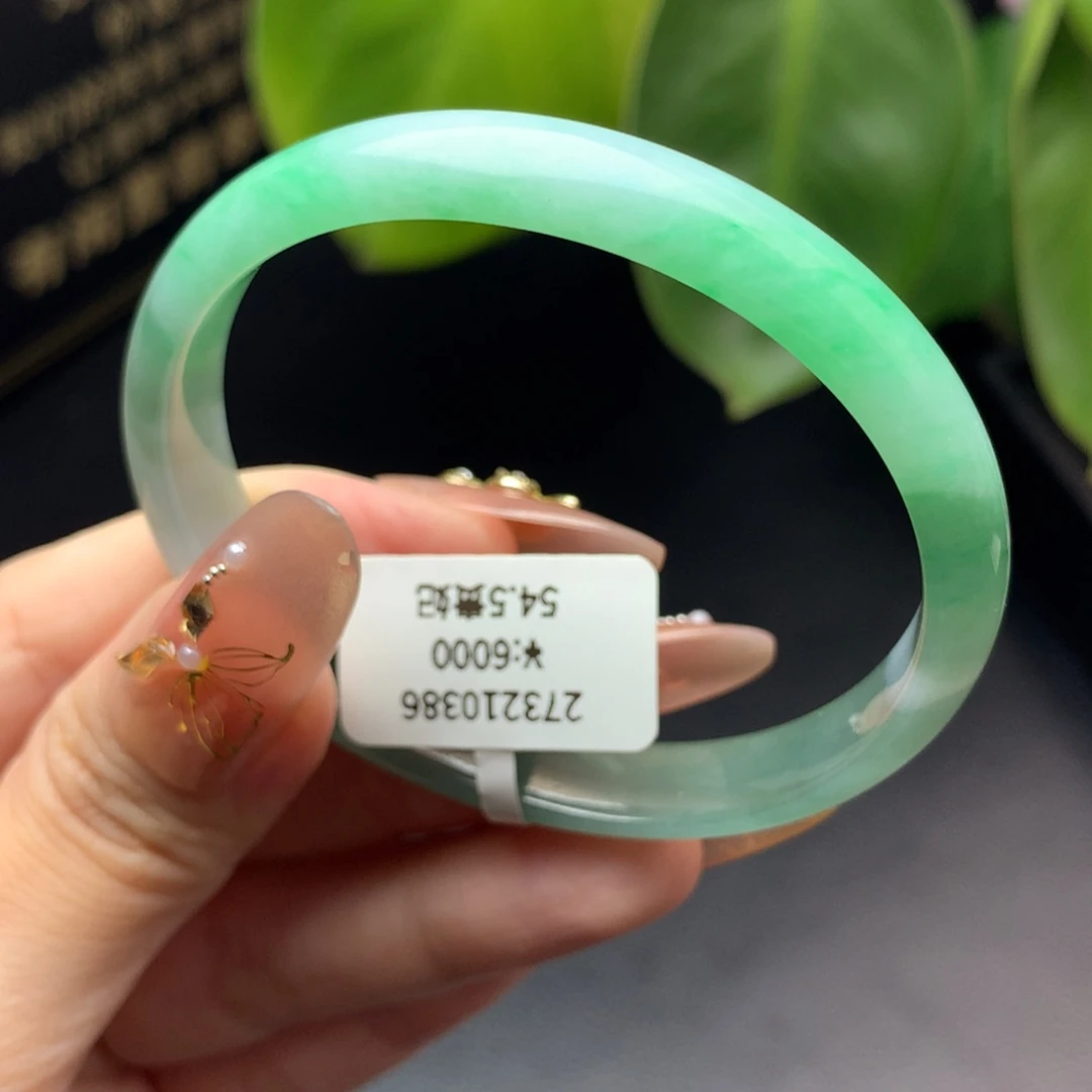 未镶嵌手镯翡翠寄售 54.5贵妃51.5正圈内阳绿湖水绿双色细糯