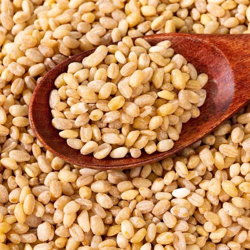 去皮脱壳带胚芽小麦仁可煮粥饭的五谷杂粮
