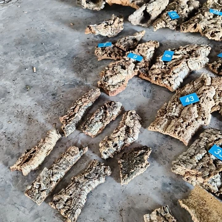 顺顺利利，平平安安
