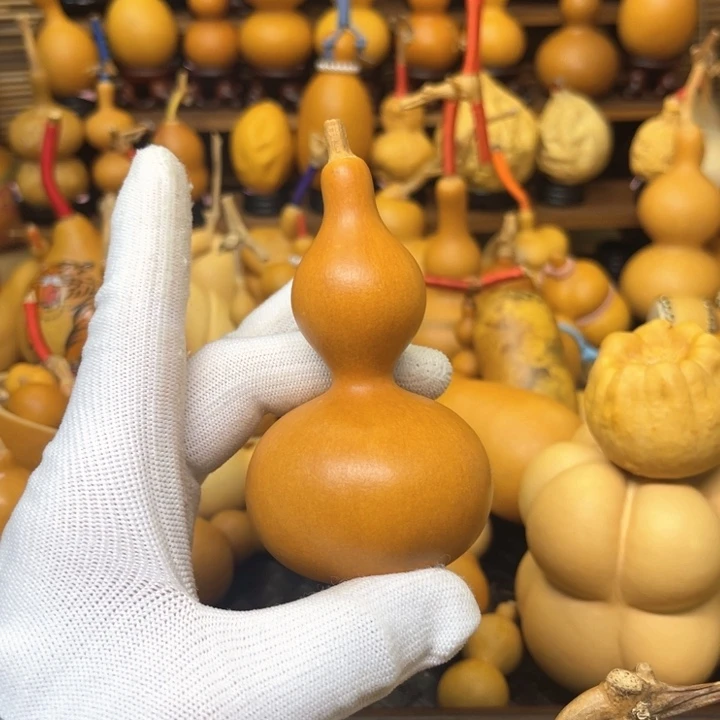 厚皮响籽直立稳坐43