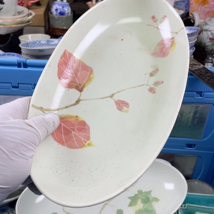 碟开播了开播了开播了