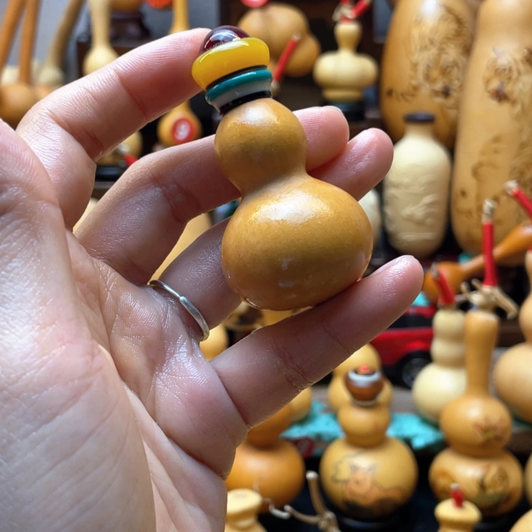 这****那大自然的秘密第十一节你