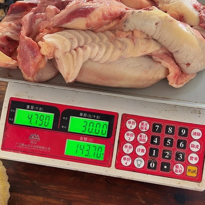 广西土耕马马肉、送马油沙姜小米辣12个月中国大陆