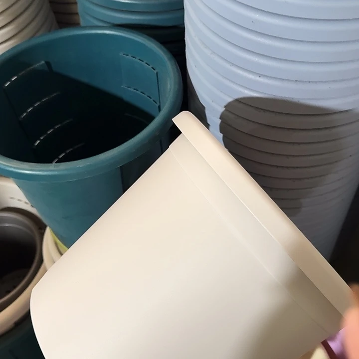 四季5号灰白无托5个