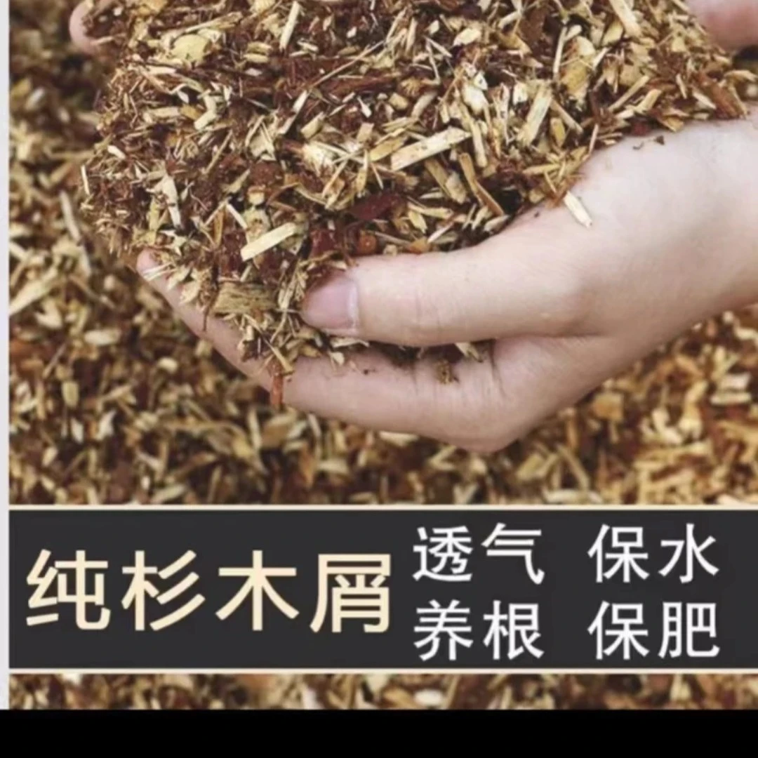 杉木屑兰花专用植料营养透气保湿促进生根家用养花土