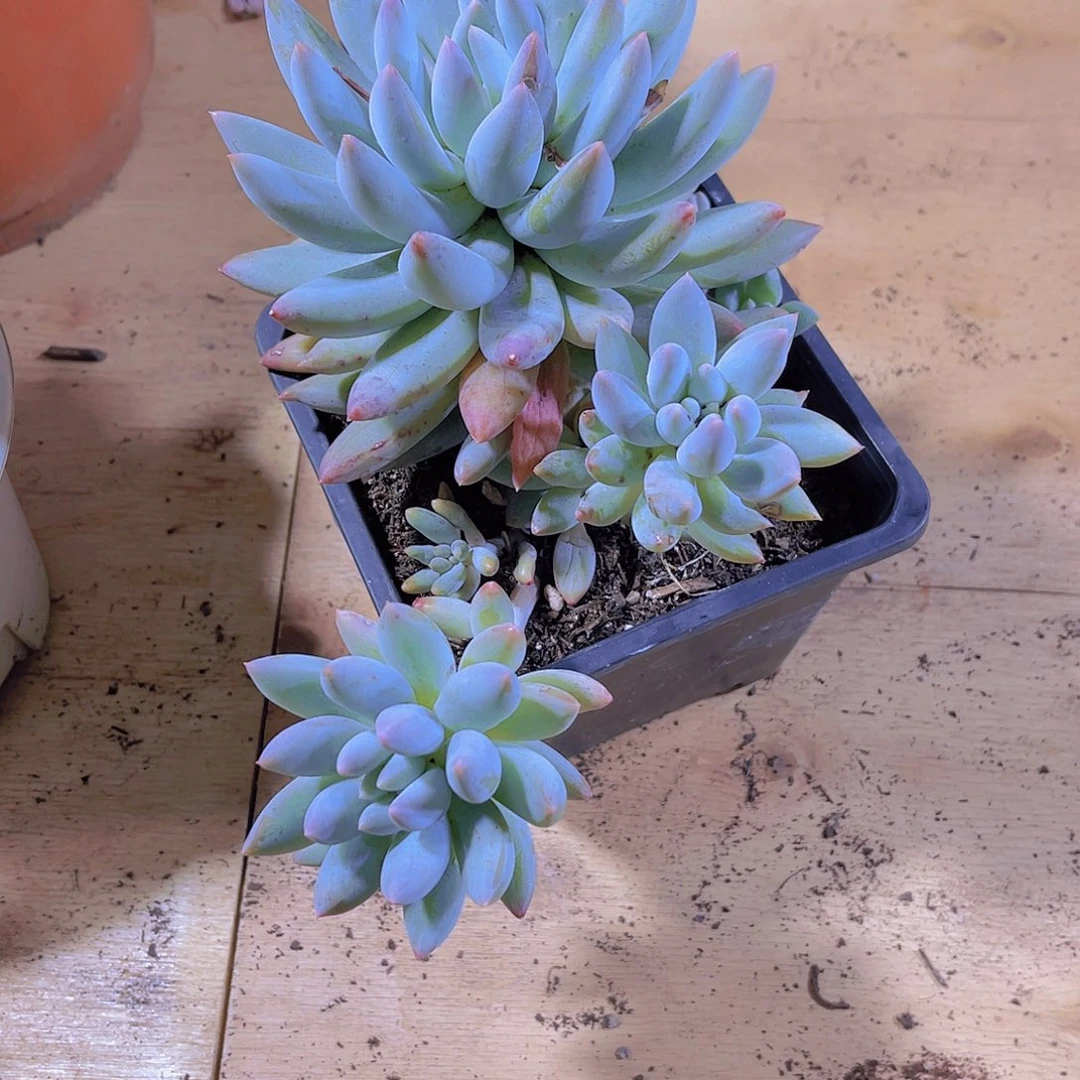 塞****✨00000000000000100