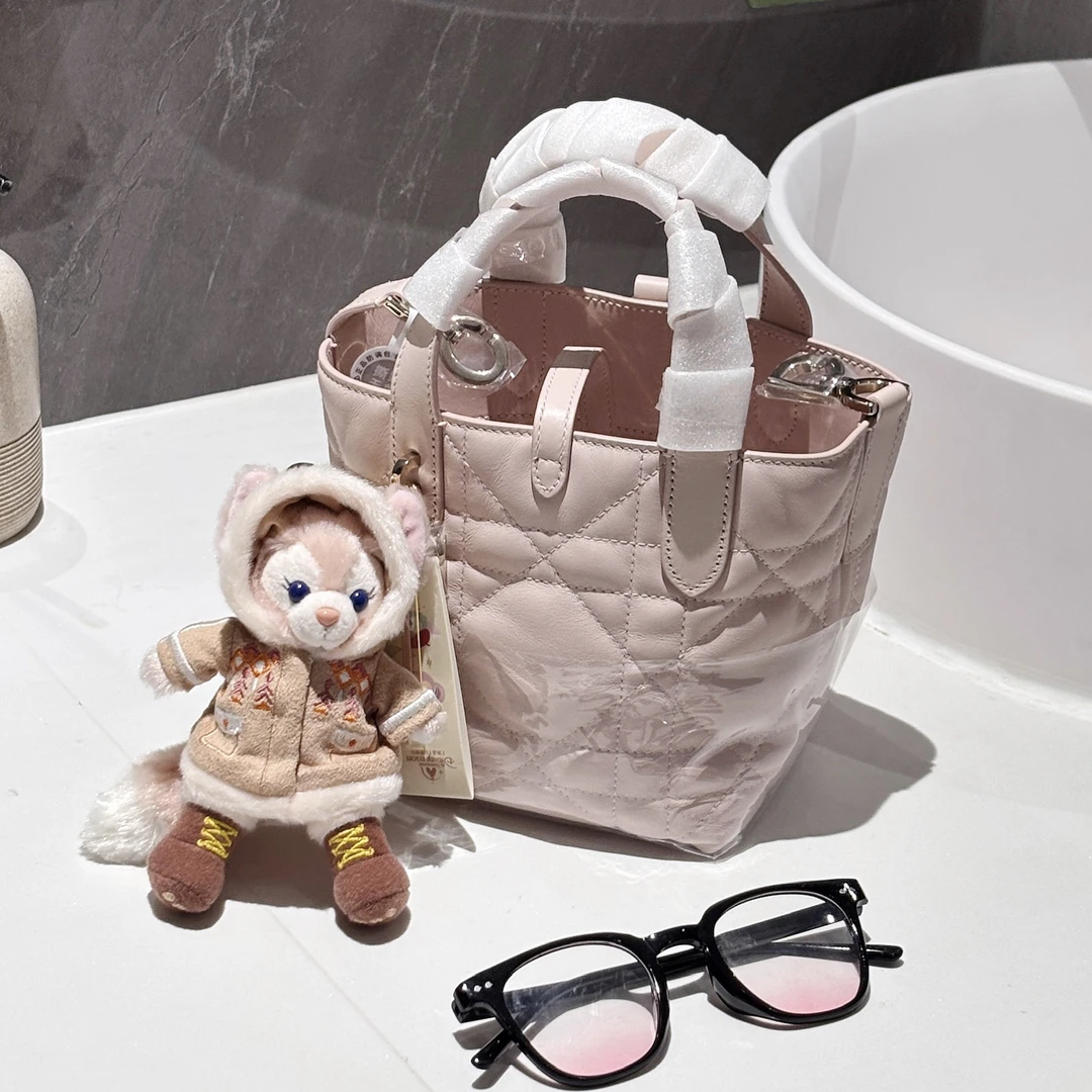 未使用 DIOR/迪奥 Toujours 土著竖版nano 胭脂粉手提包