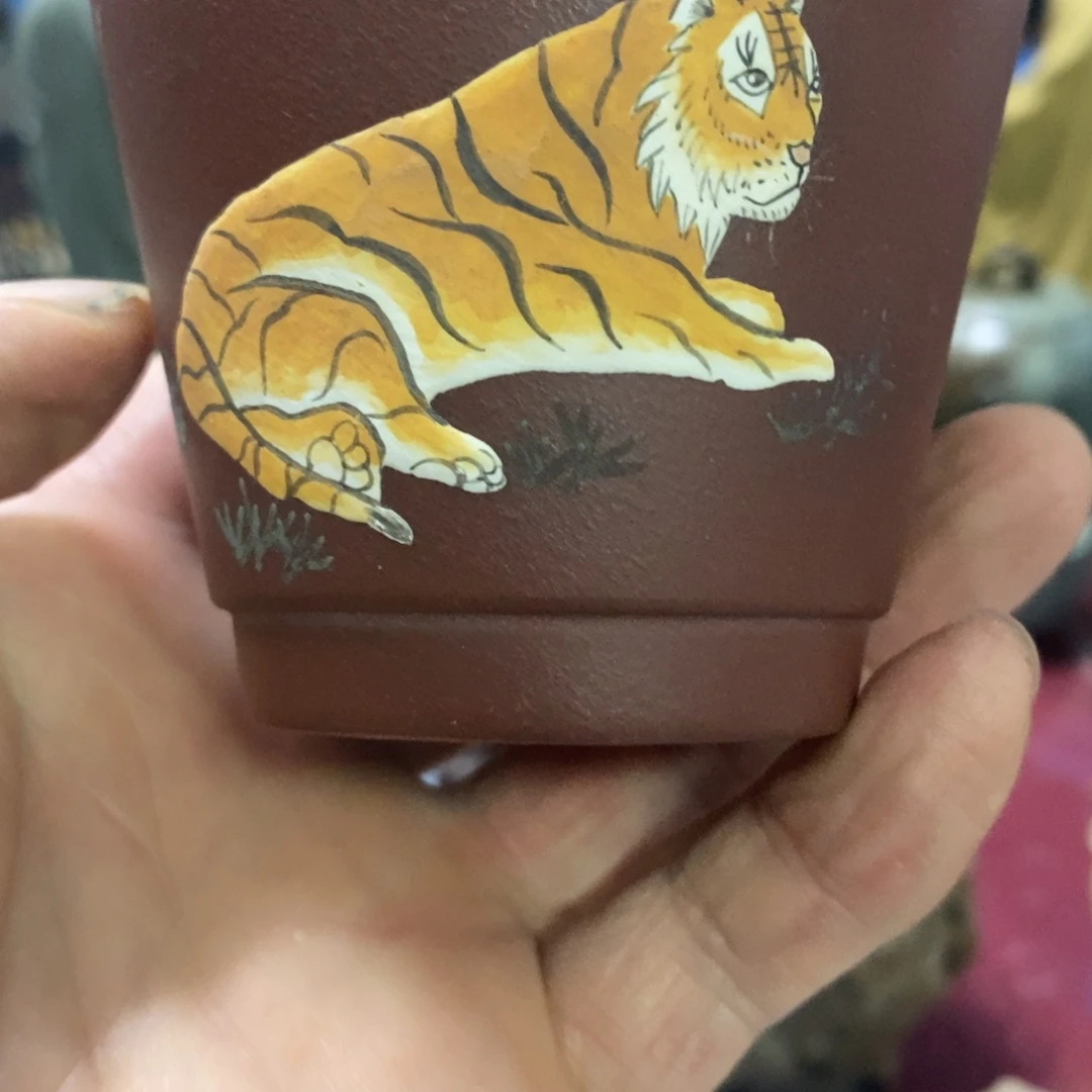 茶杯紫砂紫砂紫砂