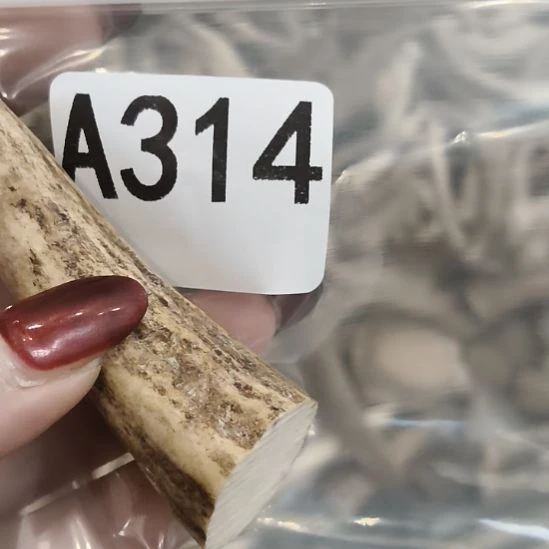 众***乃鹿角鹿角鹿角鹿角鹿角