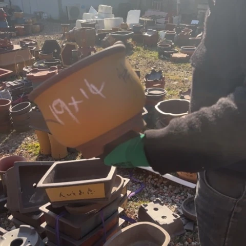 红陶紫砂花盆盆景盆栽