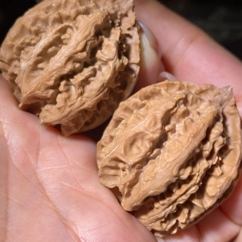 把件文玩核桃东北野生楸子小美102