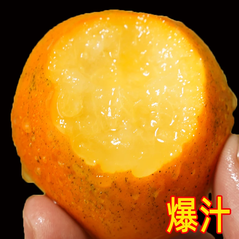 【第三代融安脆蜜金桔】天花板口感脆蜜金柑鲜果当季新鲜现摘水果