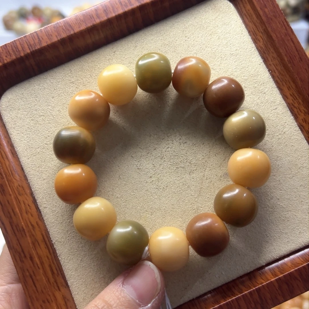 菩提根/象牙果手串酷***团
