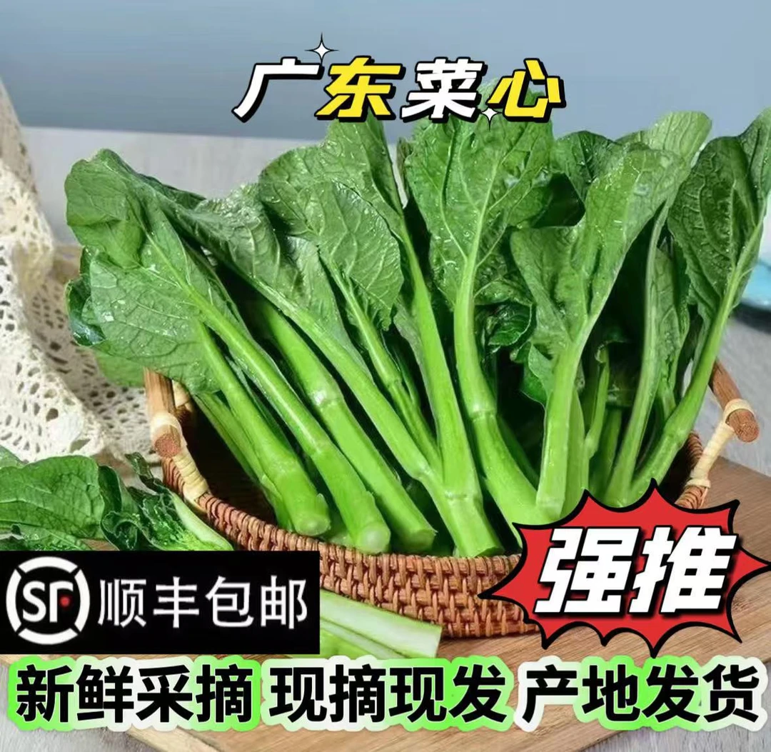 正宗广东菜心绿叶菜苔农家时令蔬菜脆甜新鲜叶菜