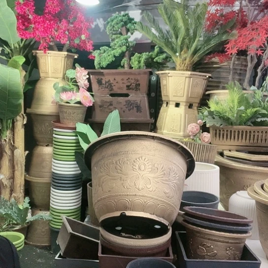 红陶盆景制作方法