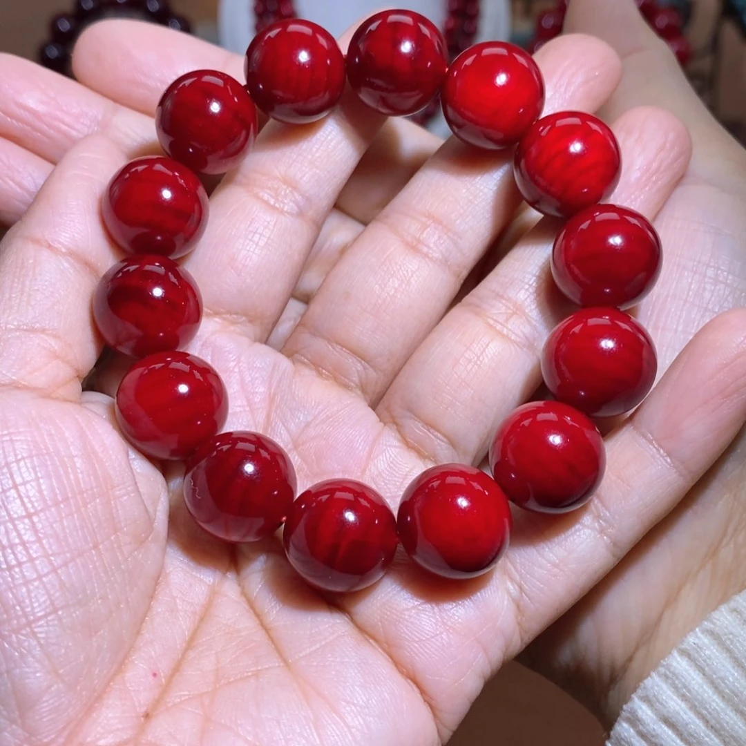 贝壳杉帝王血龙木1.5