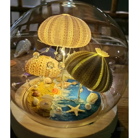 海胆贝壳小夜灯手工成品女闺蜜生日摆件活动装饰小礼品成品礼物新