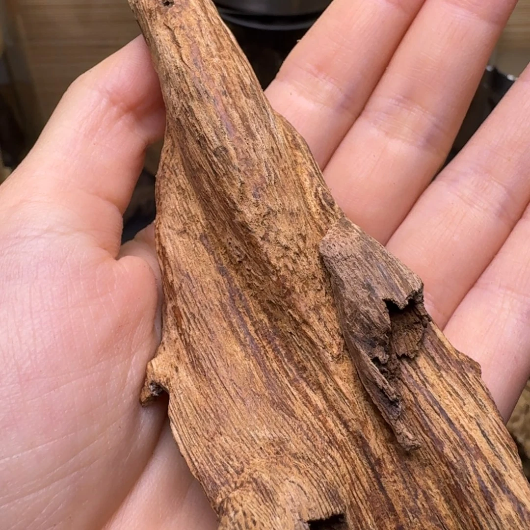 香榧木海南文昌土埋虫漏12克