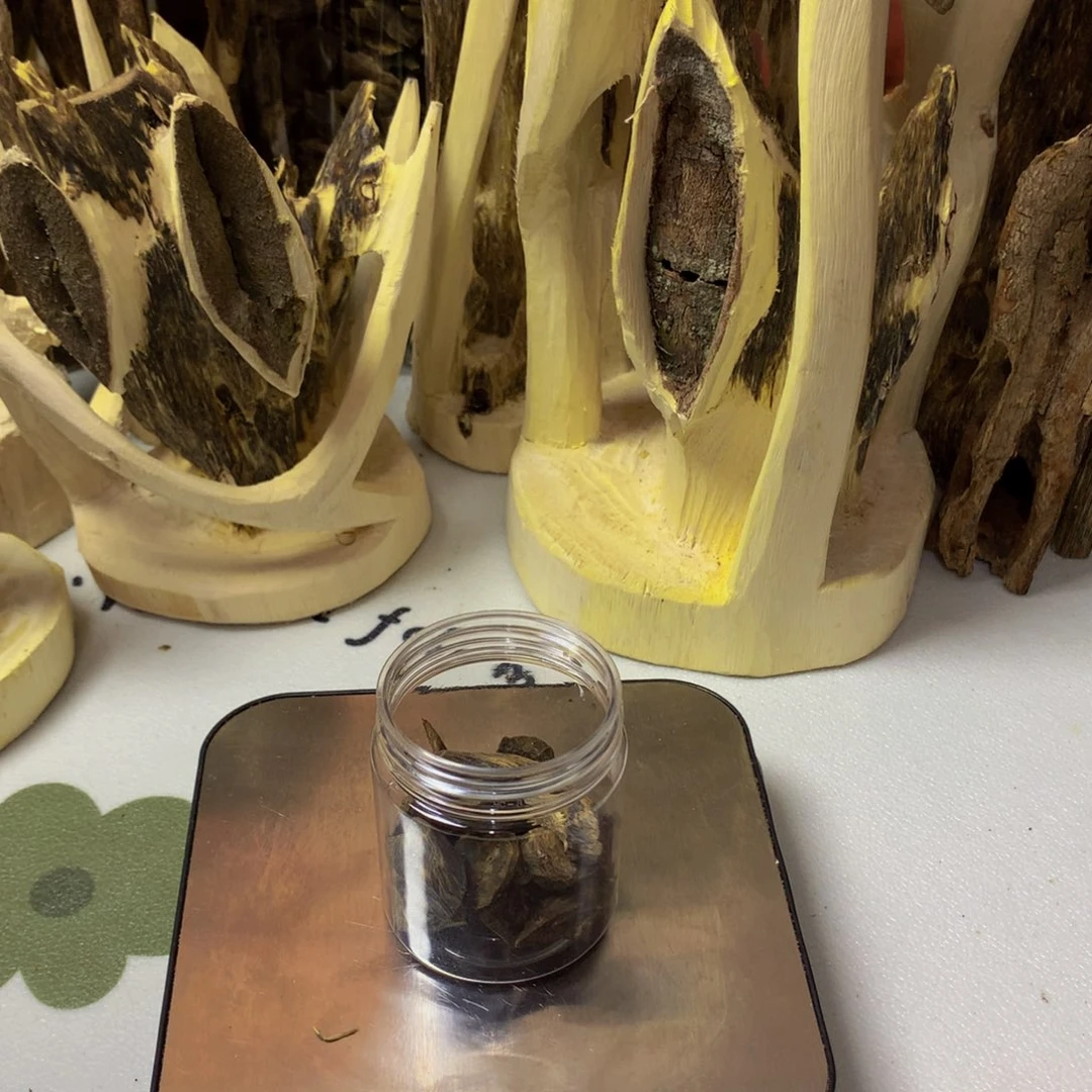 沉香沉香碎屑l*老树丁20克