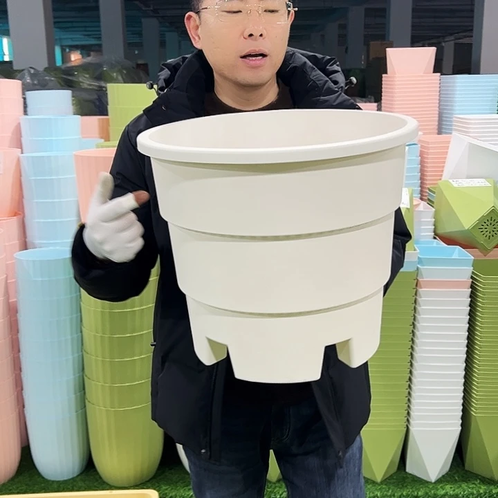 正品蓝莓盆口39高37白色3只无托