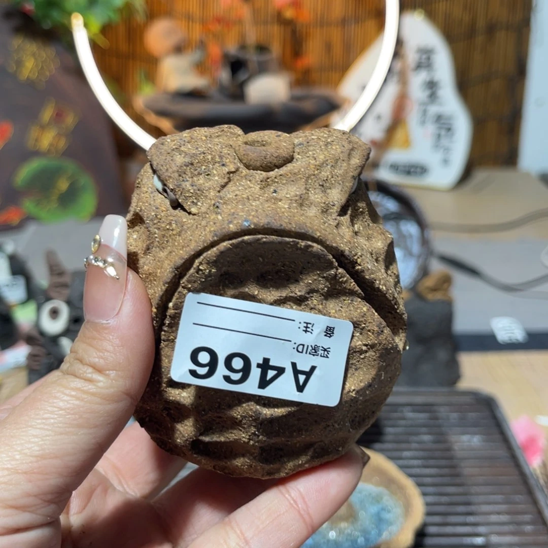 木村信弘柴烧保平